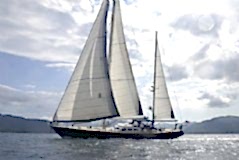 Sea Joggers in Blue  resimleri